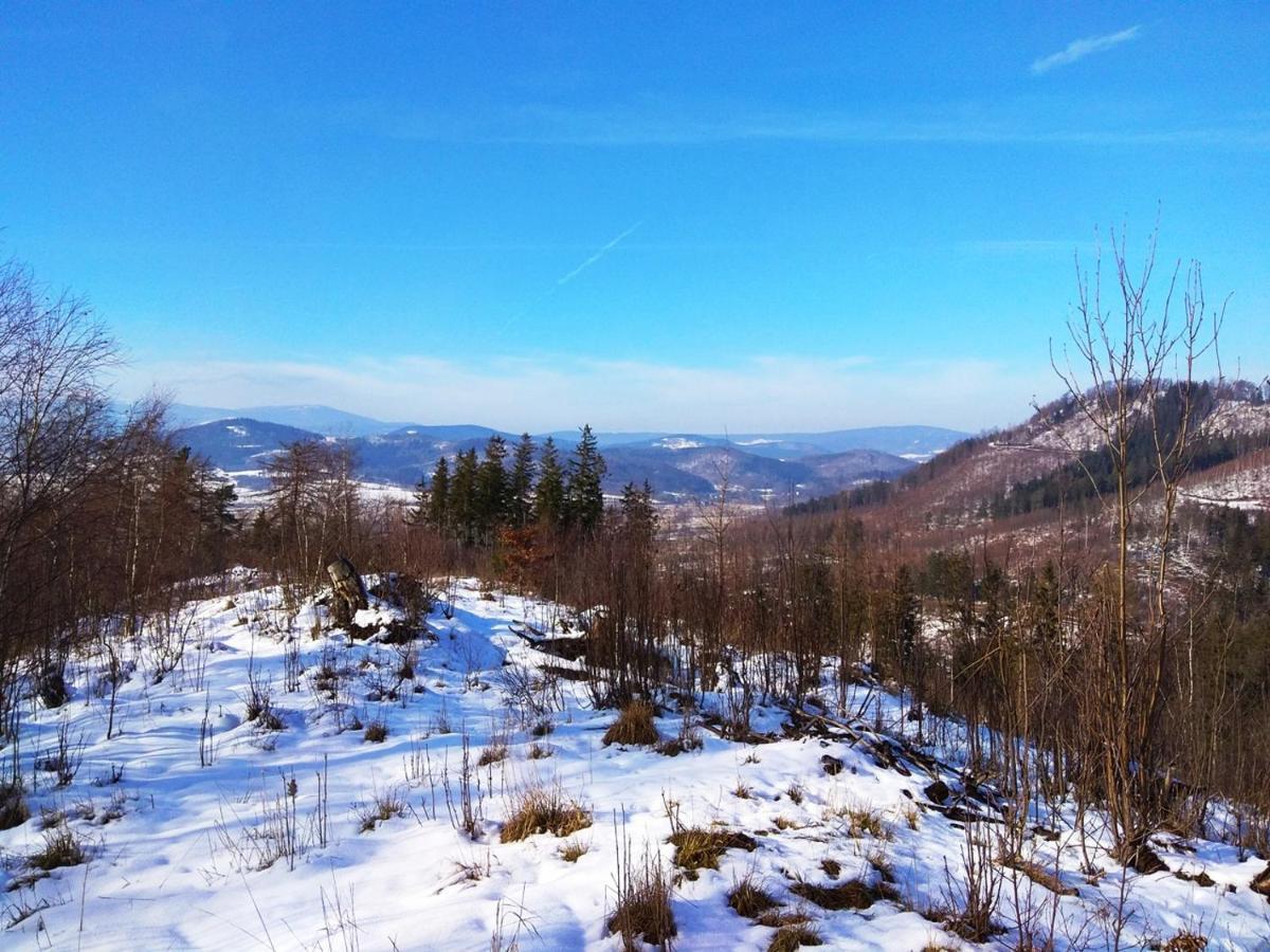 Pod Klonem Z Balia I Sauna Lubawka Exteriér fotografie
